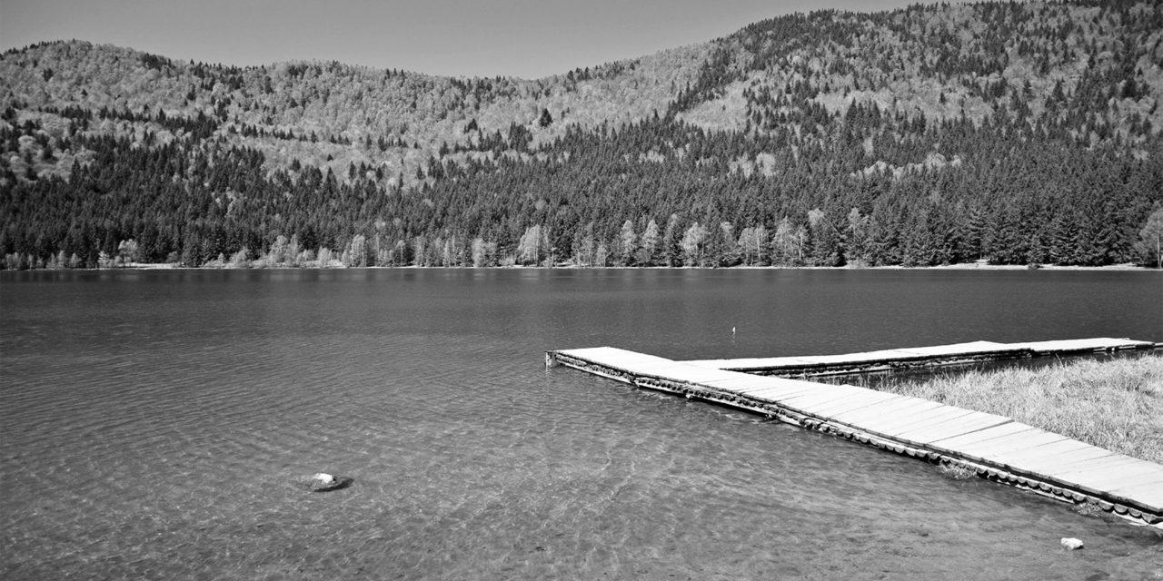 <span class="entry-title-primary">A legszebb vers</span> <span class="entry-subtitle">Erdős Virág verse</span>