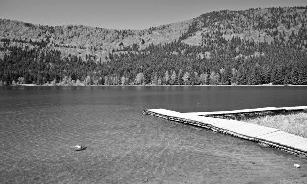 <span class="entry-title-primary">A legszebb vers</span> <span class="entry-subtitle">Erdős Virág verse</span>