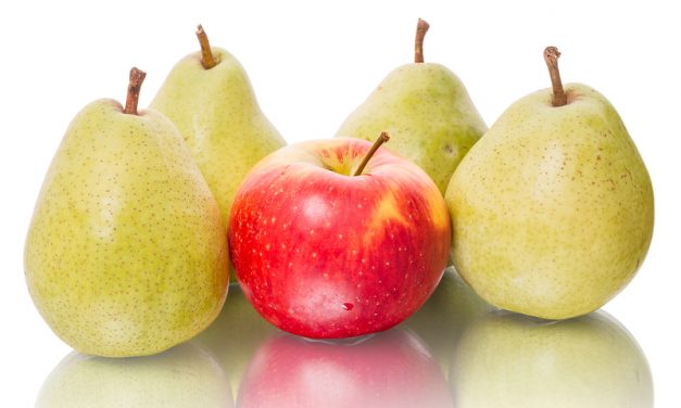 A „húgyos körte” – avagy a viszály almája