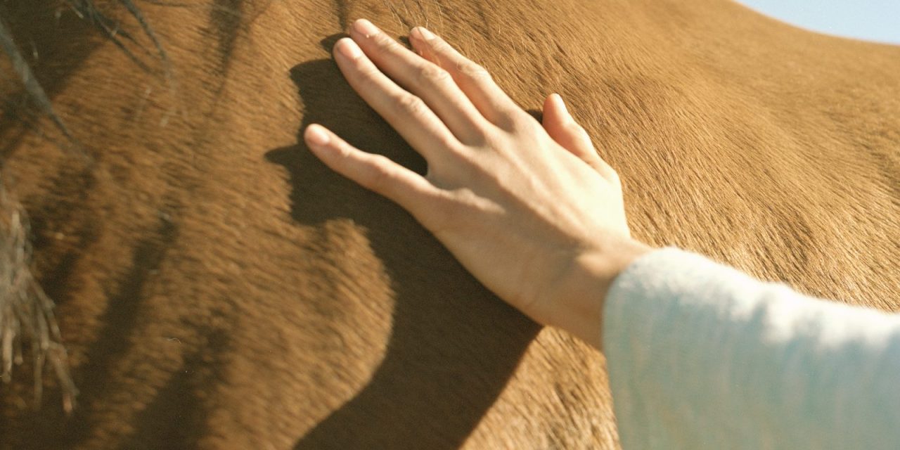 <span class="entry-title-primary">(lassan épülsz fel)</span> <span class="entry-subtitle"> Hegedűs Gyöngyi verse</span>