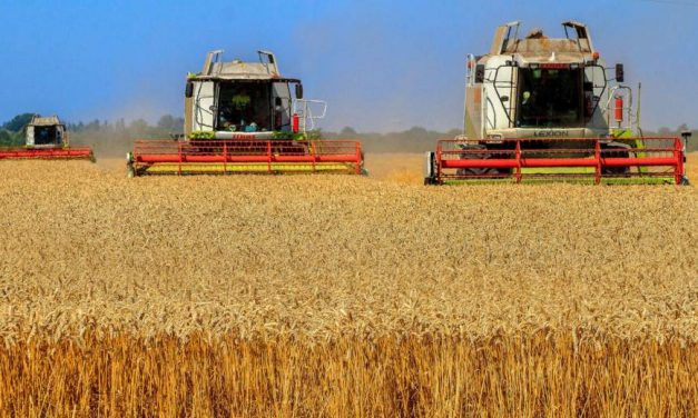 Kiskapuk a földet vásárló külföldieknek