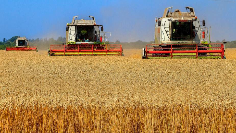 Kiskapuk a földet vásárló külföldieknek