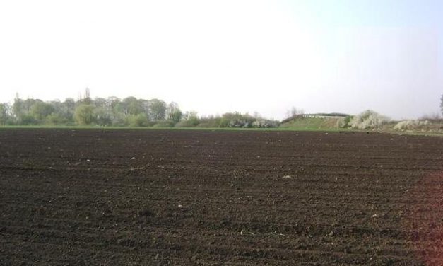 <span class="entry-title-primary">Eladók a szerbiai, vajdasági földek – külföldieknek is</span> <span class="entry-subtitle">Napirenden a törvény módosítása</span>