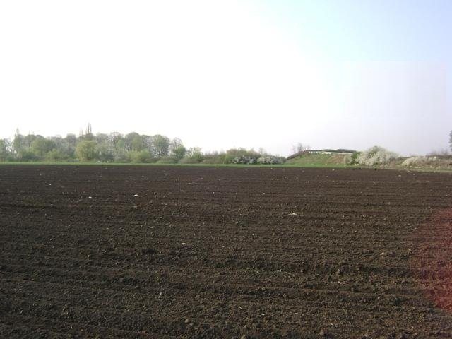 <span class="entry-title-primary">Eladók a szerbiai, vajdasági földek – külföldieknek is</span> <span class="entry-subtitle">Napirenden a törvény módosítása</span>