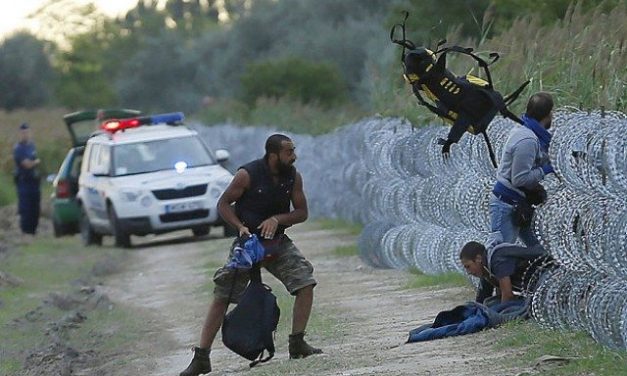 Több mint százötven határsértőt tartóztattak föl a hétvégén