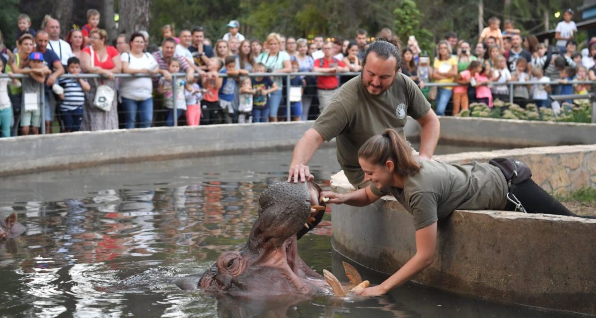 Állatkertek éjszakája