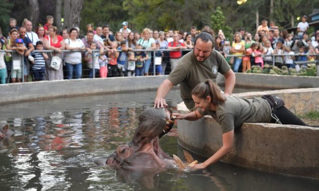 Állatkertek éjszakája