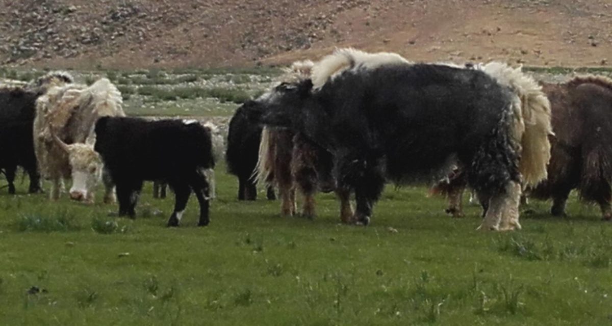 <span class="entry-title-primary">Tartalomjegyzék</span> <span class="entry-subtitle">A Szabad Magyar Szó versrovatának időrendi katalógusa</span>