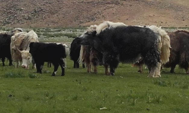 <span class="entry-title-primary">Tartalomjegyzék</span> <span class="entry-subtitle">A Szabad Magyar Szó versrovatának időrendi katalógusa</span>