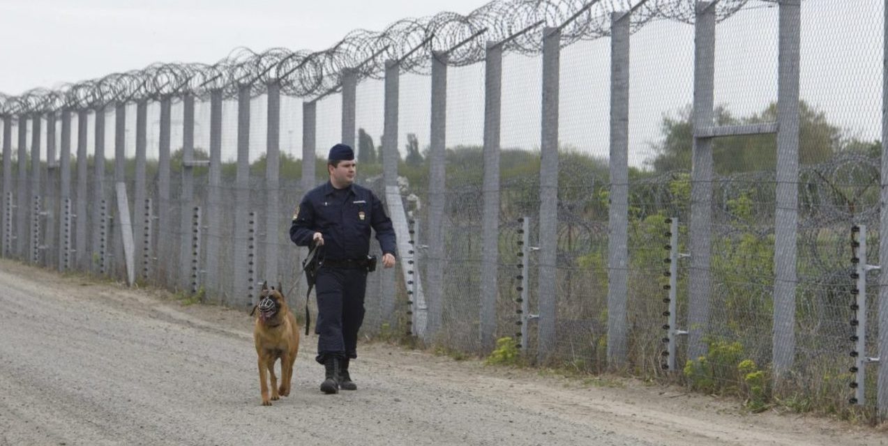 Összeomlott a határvédelem az ásotthalmi polgármester szerint