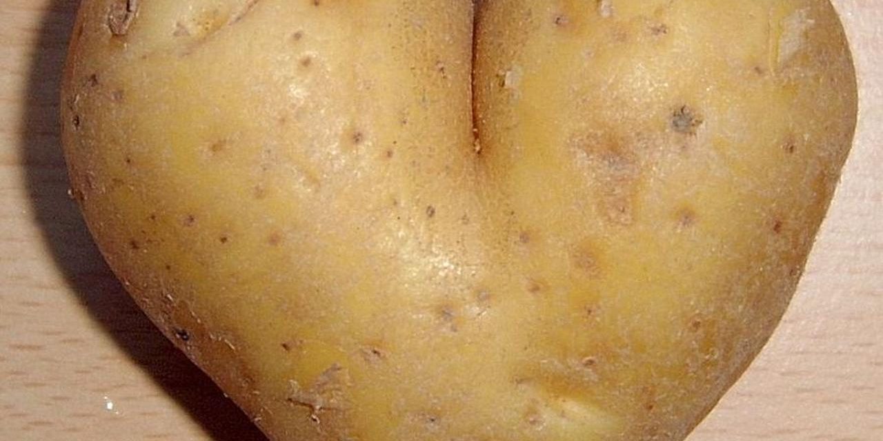 <span class="entry-title-primary">VI. Krumplifesztivál</span> <span class="entry-subtitle">Topolya, Tájház, augusztus 12. – Kezdés: 10.00</span>