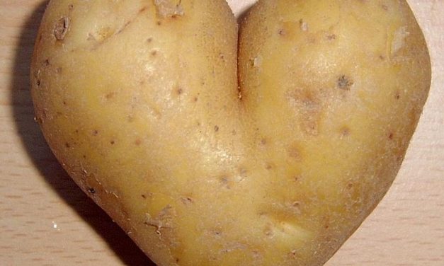 <span class="entry-title-primary">VI. Krumplifesztivál</span> <span class="entry-subtitle">Topolya, Tájház, augusztus 12. – Kezdés: 10.00</span>