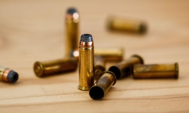 A bűncselekmények elkövetésében a vajdasági kiskorúak az élen járnak