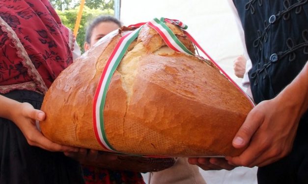 <span class="entry-title-primary">Idén is Szolnokon készült a Kárpát-medence kenyere</span> <span class="entry-subtitle">Zentai pék is dagasztotta a nemzet kenyerét, zentai kovász dúsítja a cipót</span>