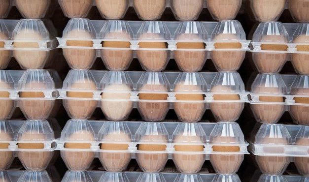 Tojásbotrány Európában, Szerbiában egyelőre nincs mérgezett termék