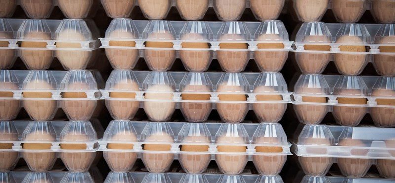 Tojásbotrány Európában, Szerbiában egyelőre nincs mérgezett termék