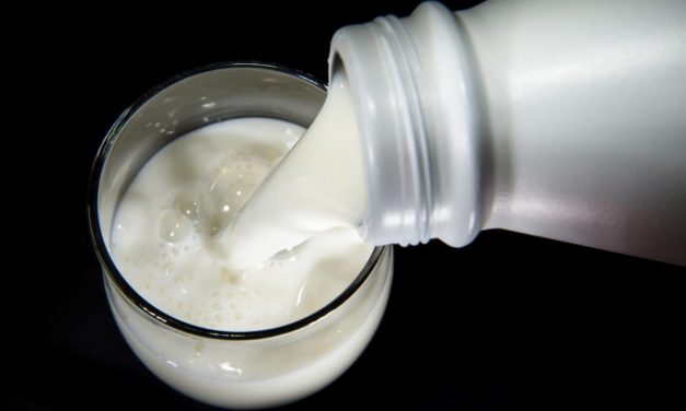 Tovább drágulhat a sajt?