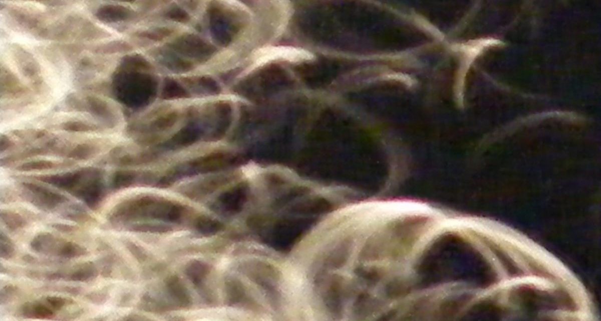 <span class="entry-title-primary">a látvány, amire vágyom</span> <span class="entry-subtitle">Jozefina Dautbegović Krajinović versciklusa</span>