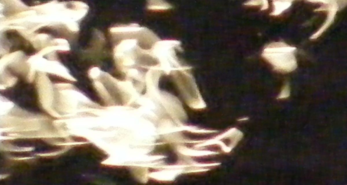 <span class="entry-title-primary">a mi hibánk</span> <span class="entry-subtitle">Jozefina Dautbegović Krajinović verse</span>