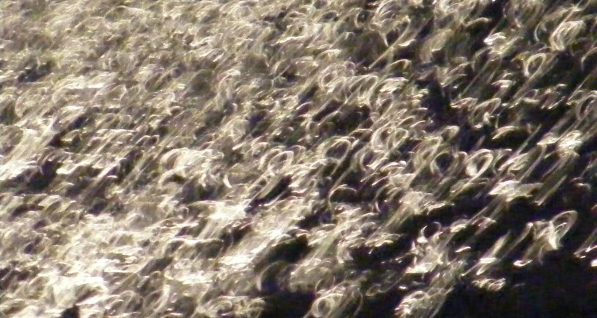 <span class="entry-title-primary">a nagy pihenés</span> <span class="entry-subtitle">Jozefina Dautbegović Krajinović verse</span>