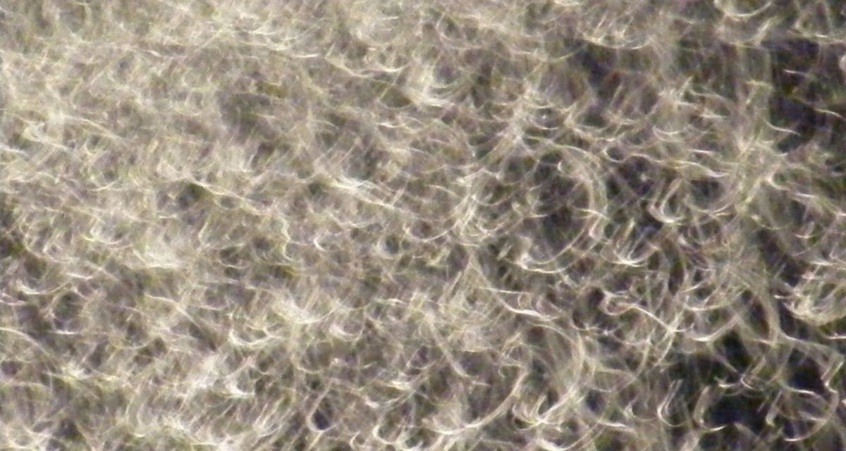 <span class="entry-title-primary">fehér pupillájú szemekkel felfegyverkezve csak</span> <span class="entry-subtitle">Jozefina Dautbegović Krajinović verse</span>