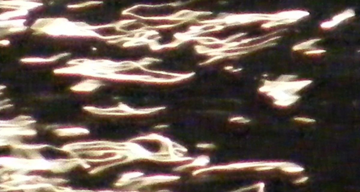 <span class="entry-title-primary">a városi kirakattakarítók dala</span> <span class="entry-subtitle">Jozefina Dautbegović Krajinović verse</span>