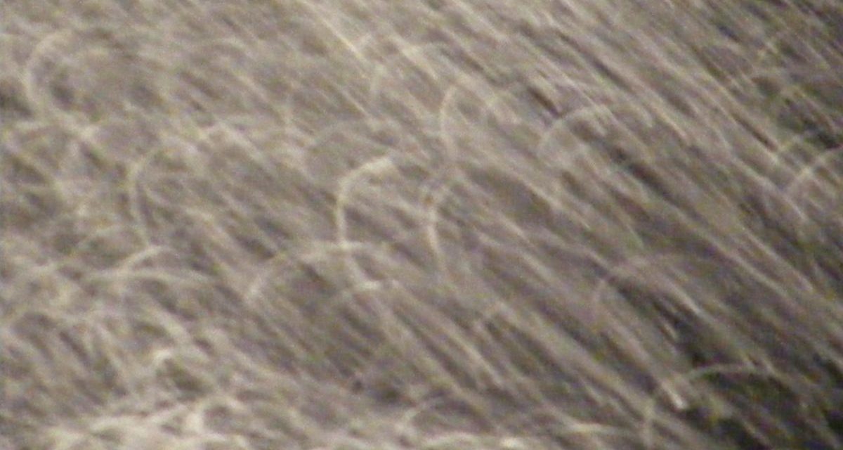 <span class="entry-title-primary">adalékok az újabb életrajzokhoz</span> <span class="entry-subtitle">Jozefina Dautbegović Krajinović verse</span>