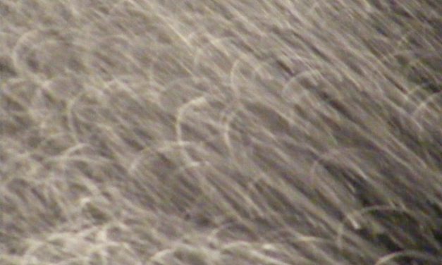 <span class="entry-title-primary">adalékok az újabb életrajzokhoz</span> <span class="entry-subtitle">Jozefina Dautbegović Krajinović verse</span>