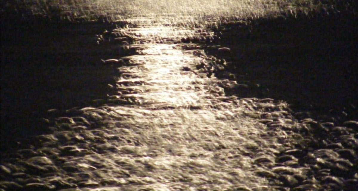 <span class="entry-title-primary">adásvétel</span> <span class="entry-subtitle">Jozefina Dautbegović Krajinović verse</span>