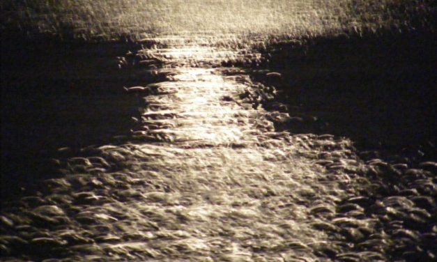 <span class="entry-title-primary">adásvétel</span> <span class="entry-subtitle">Jozefina Dautbegović Krajinović verse</span>