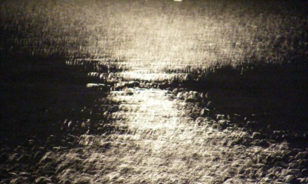 <span class="entry-title-primary">az óra kis éji geometriája</span> <span class="entry-subtitle">Jozefina Dautbegović Krajinović verse</span>