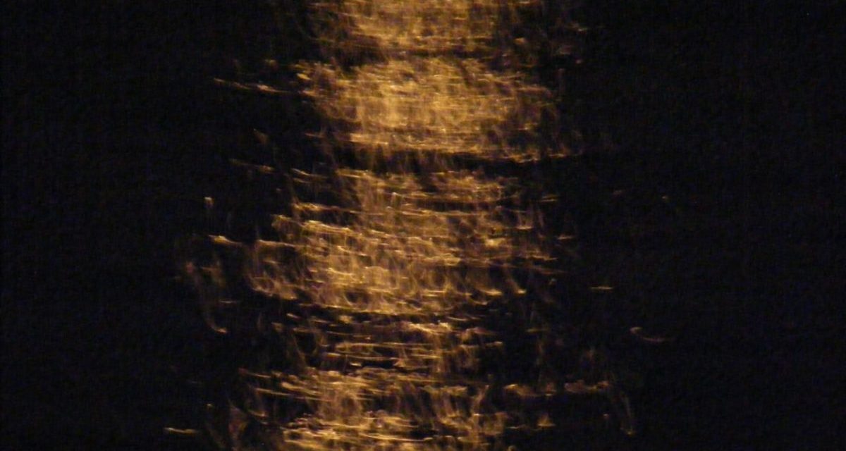 <span class="entry-title-primary">gyávaság</span> <span class="entry-subtitle">Jozefina Dautbegović Krajinović verse</span>