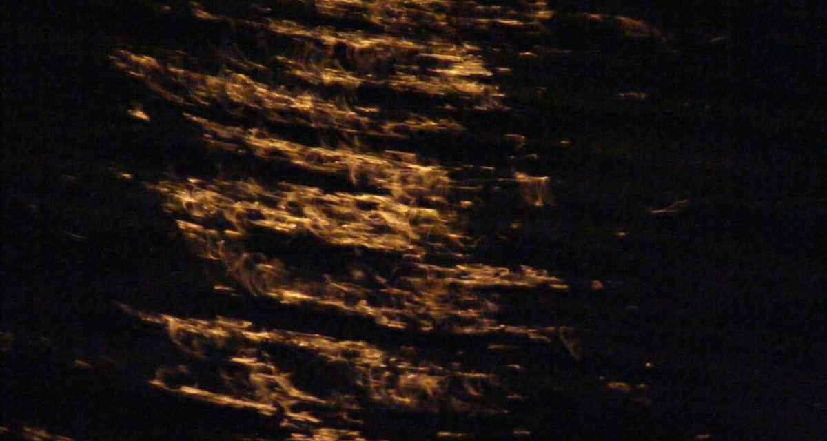 <span class="entry-title-primary">látni sem akarom, hogyan ülik meg a fehér lipicai lovakat</span> <span class="entry-subtitle">Jozefina Dautbegović Krajinović verse</span>