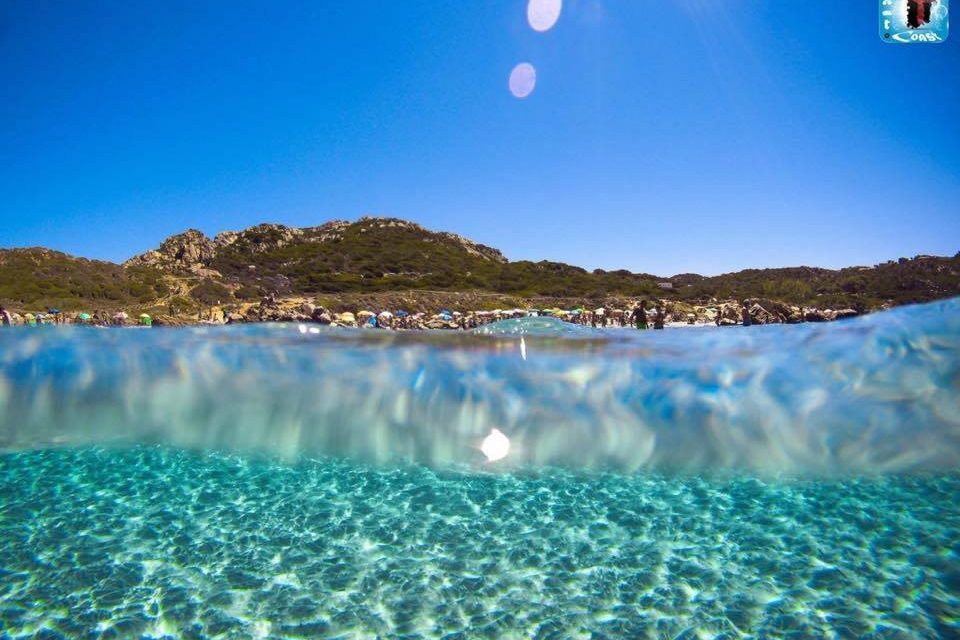 <span class="entry-title-primary">ez a másik arc</span> <span class="entry-subtitle">Jozefina Dautbegović Krajinović verse</span>