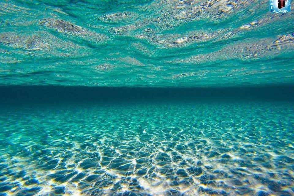 <span class="entry-title-primary">felhők – kenyerek</span> <span class="entry-subtitle">Jozefina Dautbegović Krajinović verse</span>