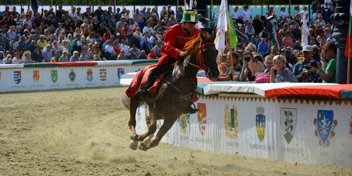 <span class="entry-title-primary">Nagy Arnold vágtázott be Fantáziával a bronzérmes helyre a Nemzeti Vágtán</span> <span class="entry-subtitle">A nemzetközi futamban Szerbia versenyzője a második</span>