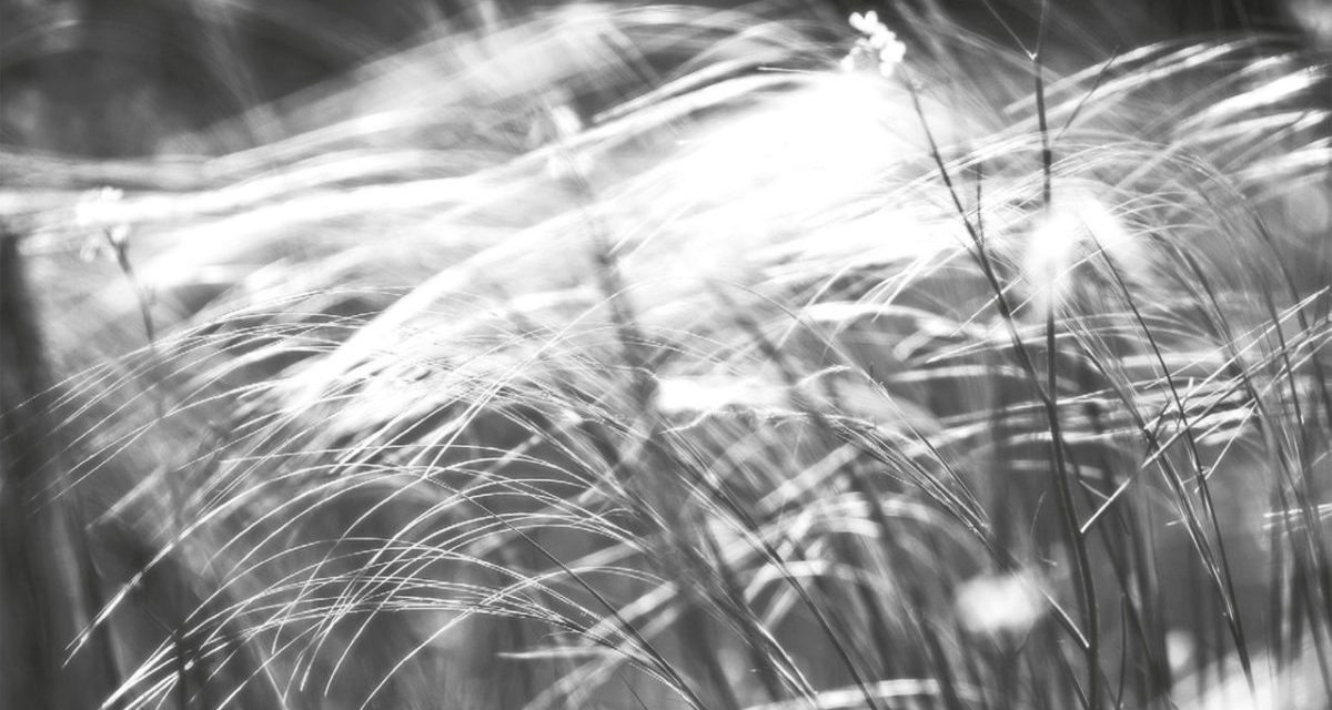 <span class="entry-title-primary">a volt a ma</span> <span class="entry-subtitle">Bartha György verse</span>