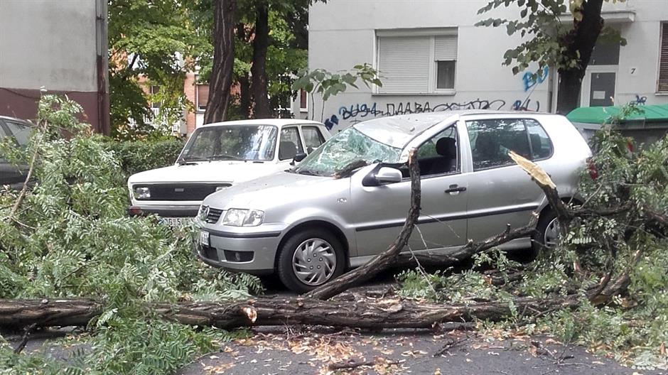 Ítéletidő Szerbiában – Újvidéken faágak és konténer az úttesten