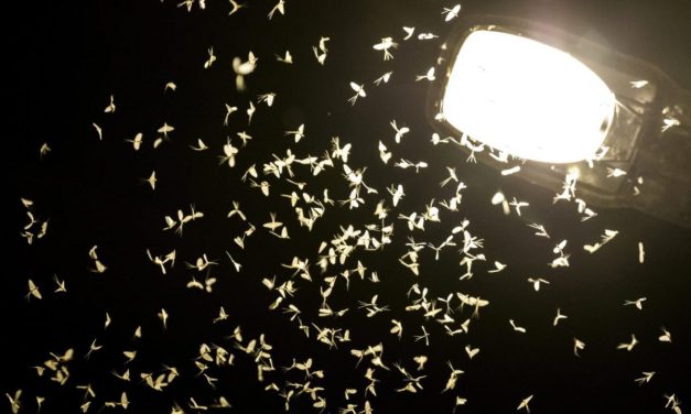 Egyre nagyobb a fényszennyezés