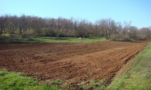 Vagyon-visszaszármaztatás: Pénz helyett állami tulajdon