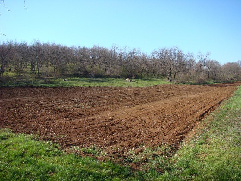 Vagyon-visszaszármaztatás: Pénz helyett állami tulajdon