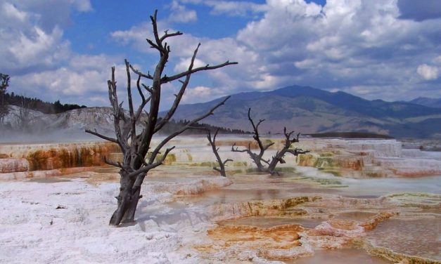 <span class="entry-title-primary">Amerika szakít az UNESCO-val</span> <span class="entry-subtitle">Izrael is csatlakozik a hátat fordításhoz – A világörökség másodlagossá vált, első a politikai harc – Trump mindenáron győzelmeket akar aratni, Netanyahu beszélhette rá</span>