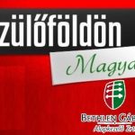 December végéig mindenki megkapja a Szülőföldön magyarul oktatási támogatást