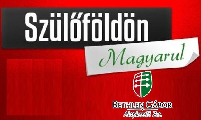 Idéntől online kell megpályázni a Szülőföldön magyarul támogatást