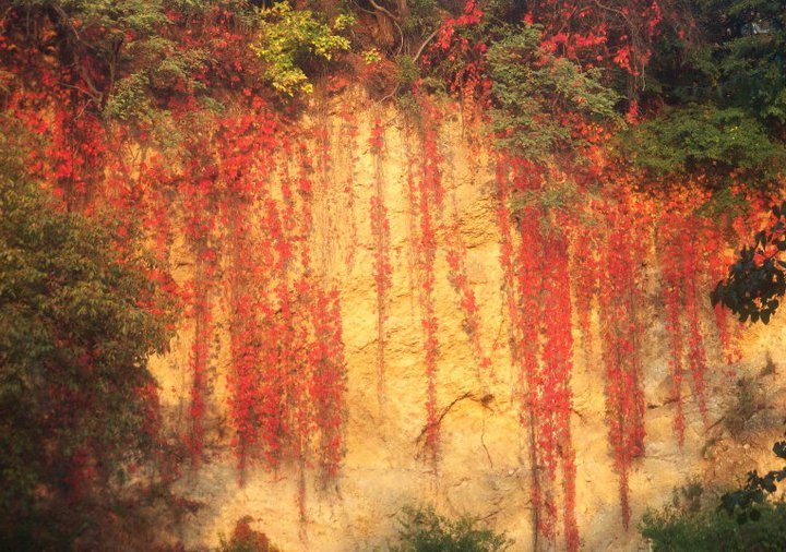 <span class="entry-title-primary">Búcsú</span> <span class="entry-subtitle">M. Fehérvári Judit verse</span>