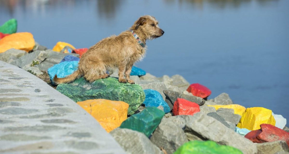 Színes kövek a vízparton…