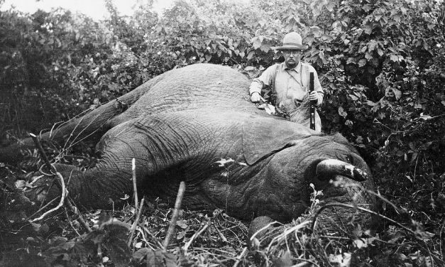 <span class="entry-title-primary">A farokvadász felszabadítása (Trumpizmusok)</span> <span class="entry-subtitle">Trump döntött: Újra érdemes elefántot ölni</span>