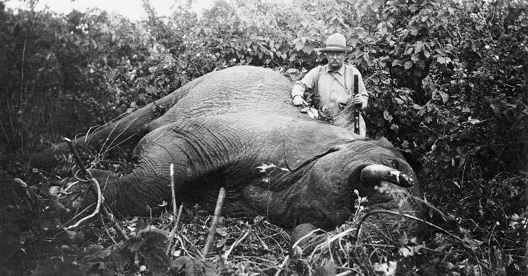 <span class="entry-title-primary">A farokvadász felszabadítása (Trumpizmusok)</span> <span class="entry-subtitle">Trump döntött: Újra érdemes elefántot ölni</span>