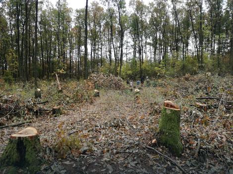 <span class="entry-title-primary">Ökológiai katasztrófa fenyeget?</span> <span class="entry-subtitle">Egyesek vidáman gazdagodnak, az állam hallgat</span>