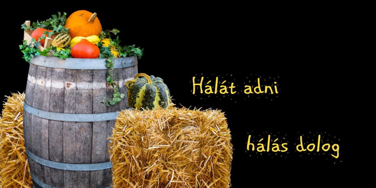 <span class="entry-title-primary">H-vitamin</span> <span class="entry-subtitle">Hálaadás – másként</span>